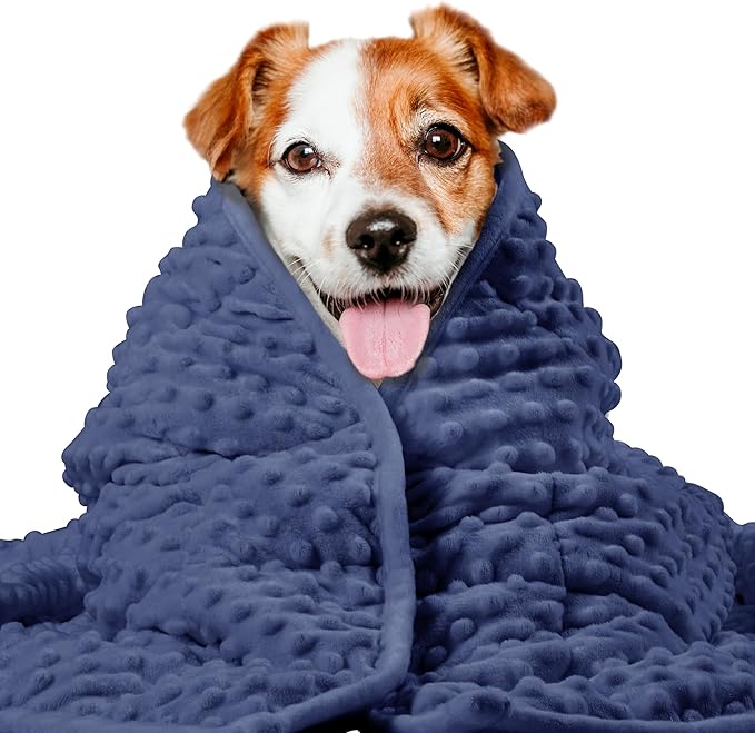 CalmNest™ Blanket