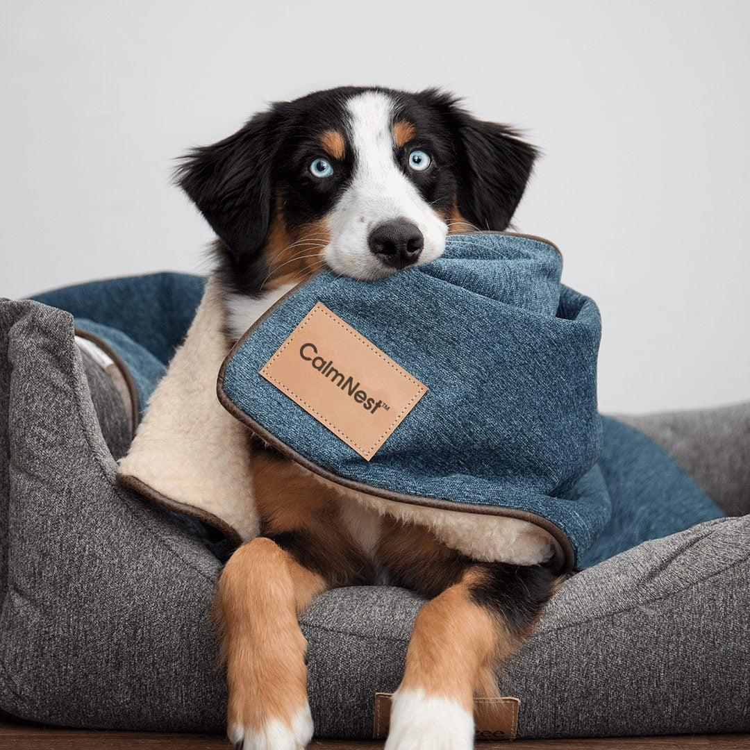 CalmNest™ Blanket